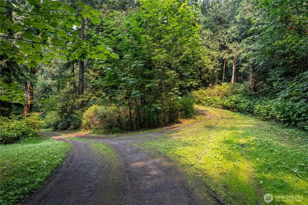 9267 Upper Frost Creek Road Maple Falls, WA 98266