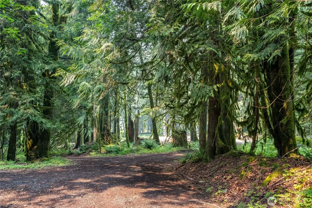 9267 Upper Frost Creek Road Maple Falls, WA 98266
