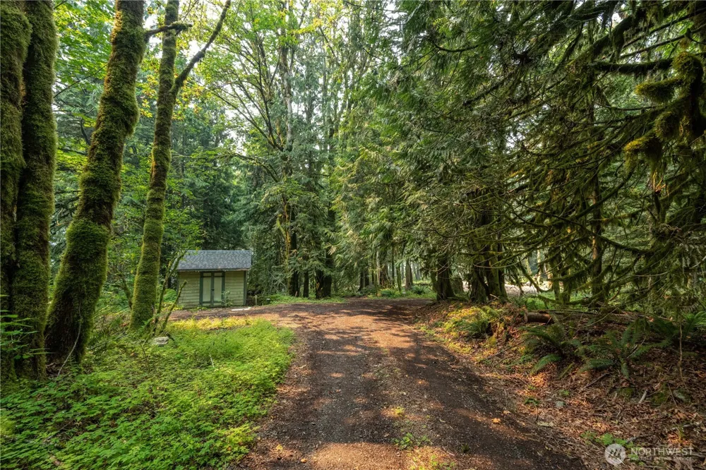 9267 Upper Frost Creek Road Maple Falls, WA 98266