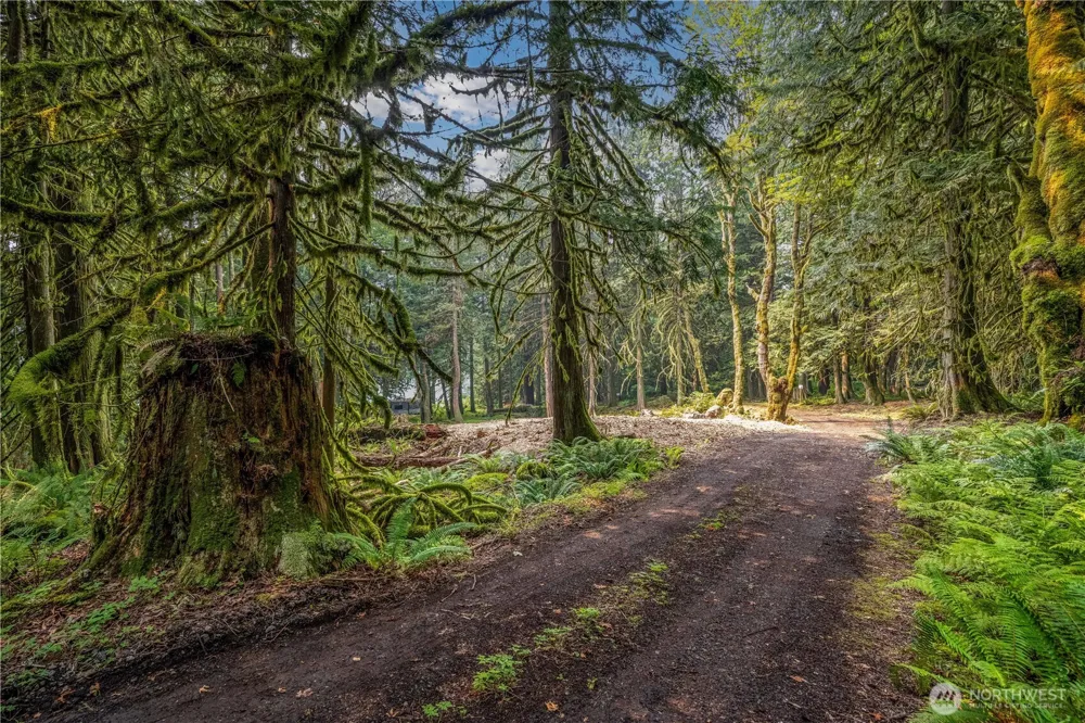 9267 Upper Frost Creek Road Maple Falls, WA 98266