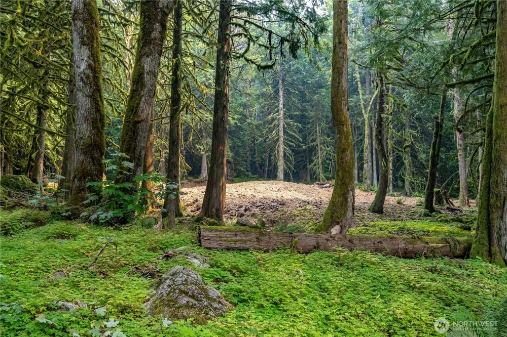 9267 Upper Frost Creek Road Maple Falls, WA 98266