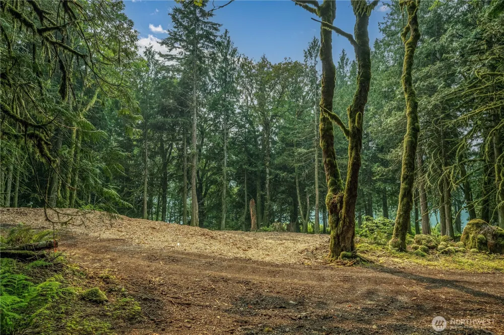 9267 Upper Frost Creek Road Maple Falls, WA 98266