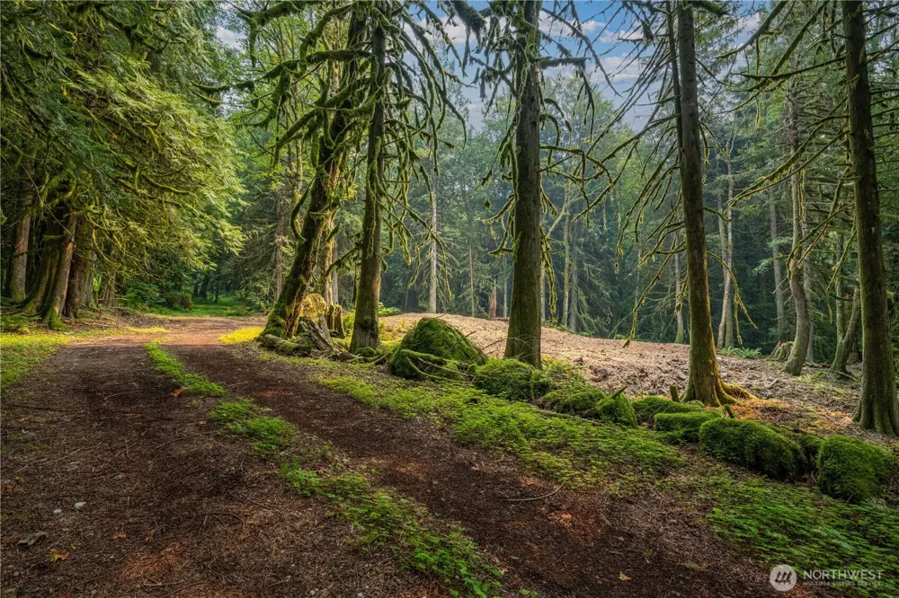 9267 Upper Frost Creek Road Maple Falls, WA 98266