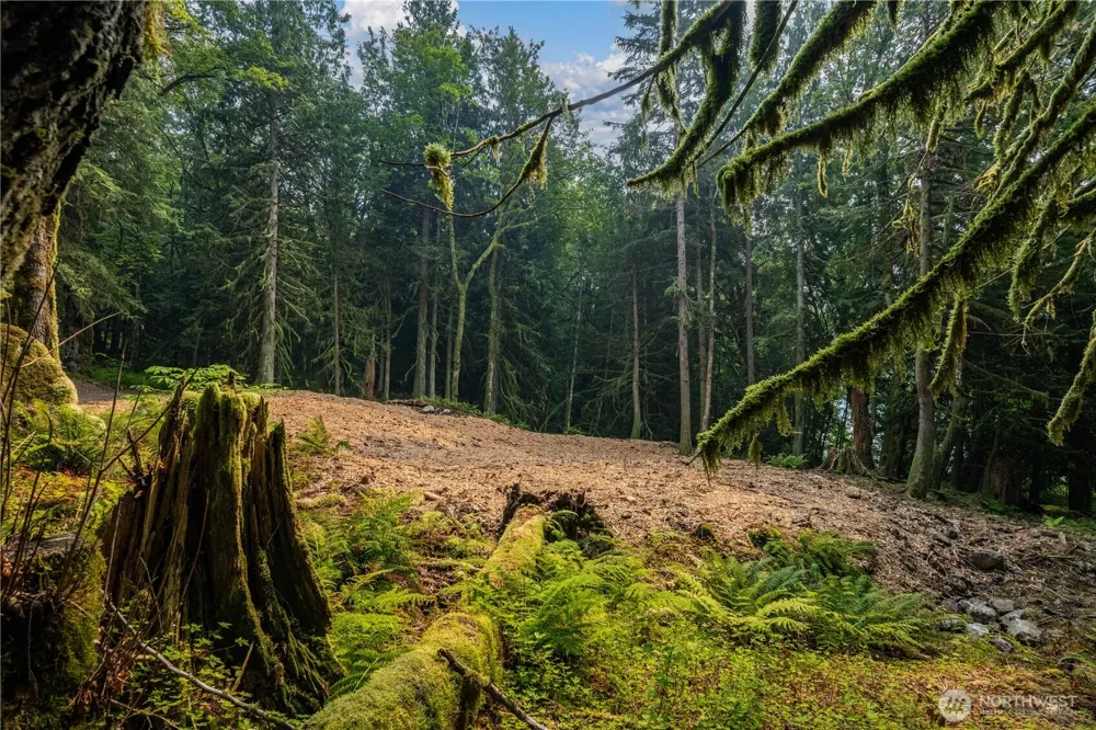9267 Upper Frost Creek Road Maple Falls, WA 98266