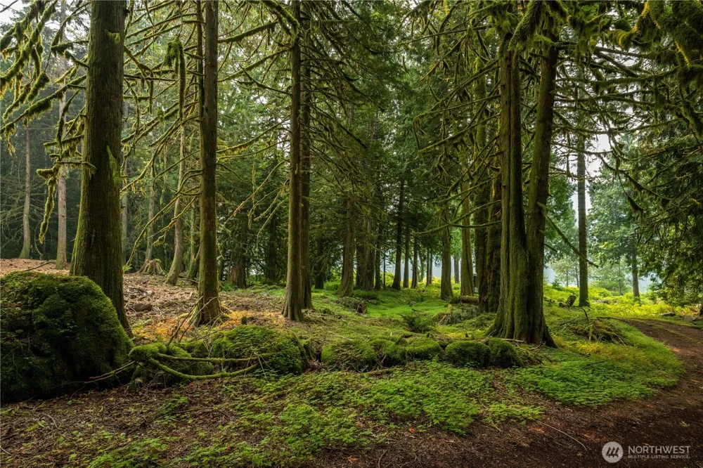 9267 Upper Frost Creek Road Maple Falls, WA 98266
