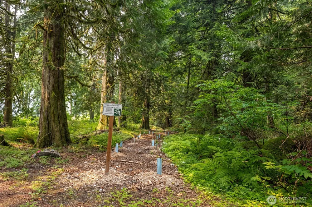9267 Upper Frost Creek Road Maple Falls, WA 98266