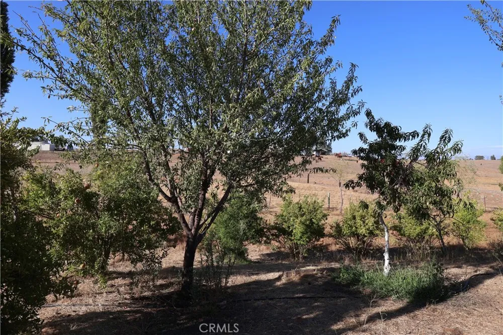 Henleyville Rd. Corning, CA 96021