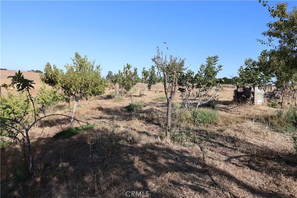 Henleyville Rd. Corning, CA 96021