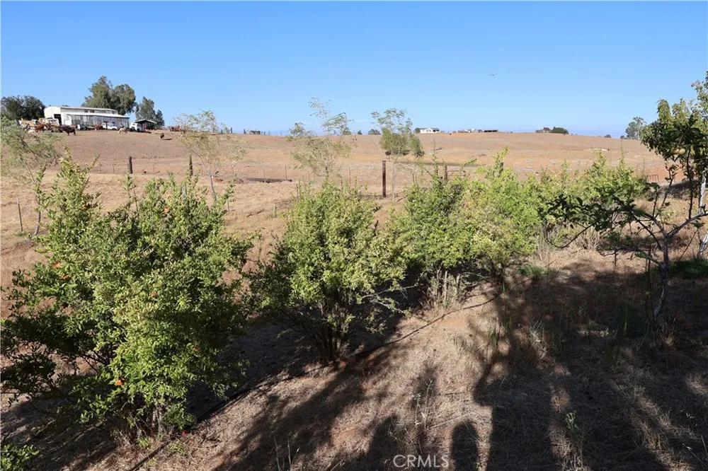 Henleyville Rd. Corning, CA 96021