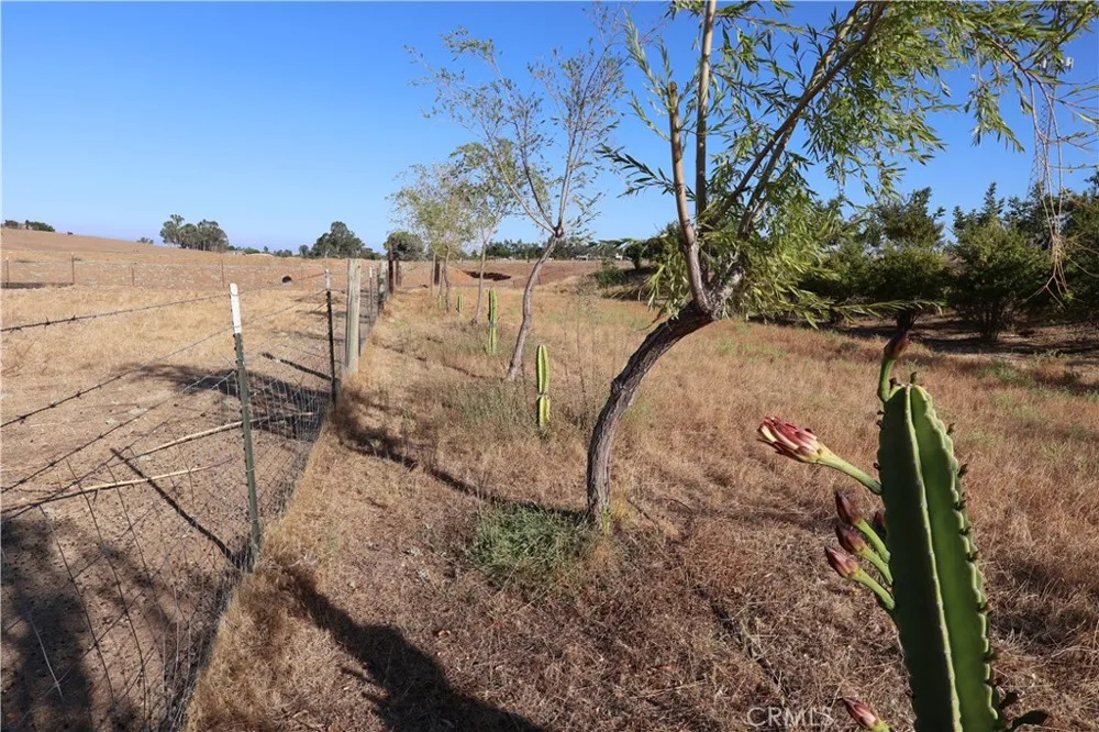 Henleyville Rd. Corning, CA 96021