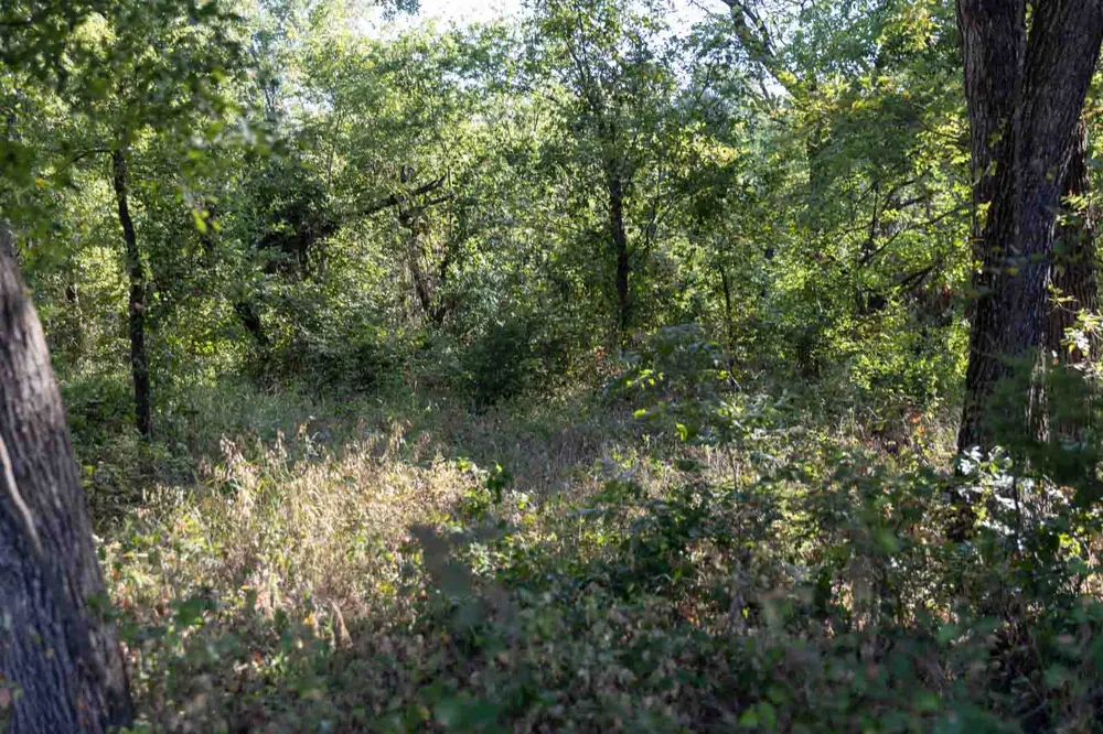 23 S Westminster Boulevard Guthrie, OK 73044