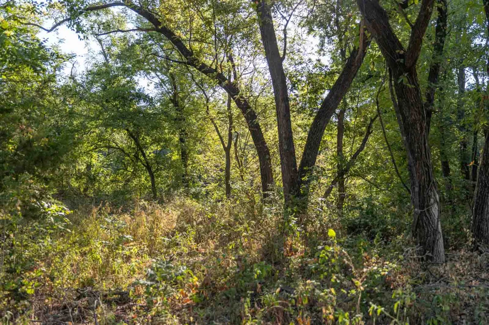 23 S Westminster Boulevard Guthrie, OK 73044