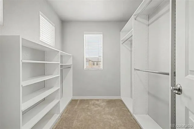 9729 Albion Lane Denver, CO 80229