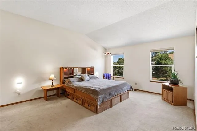 1547 Chesham Circle Colorado Springs, CO 80907