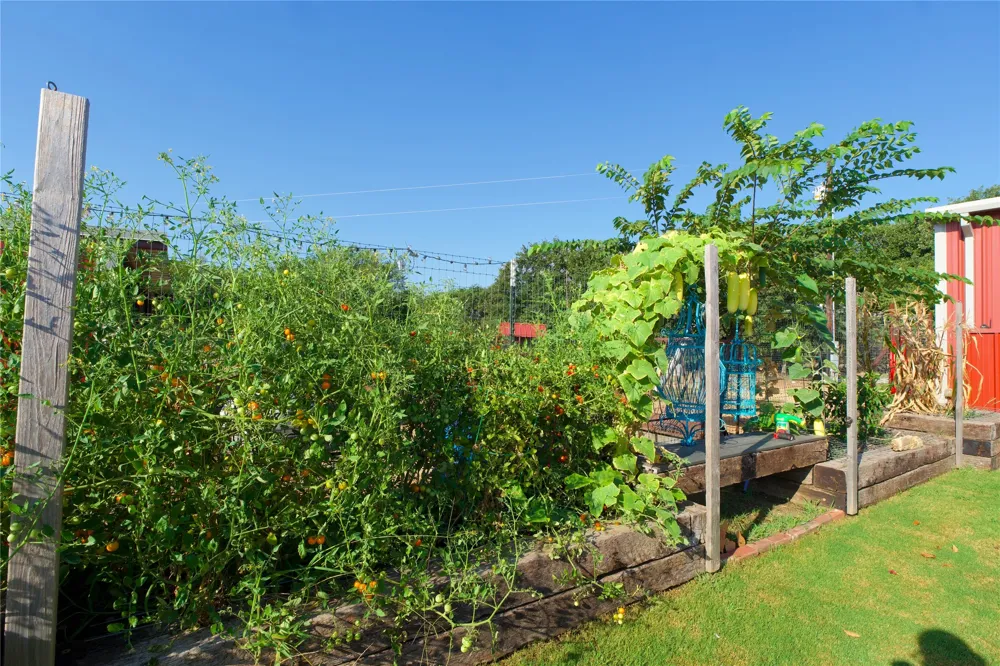 473 May Road Nocona, TX 76255