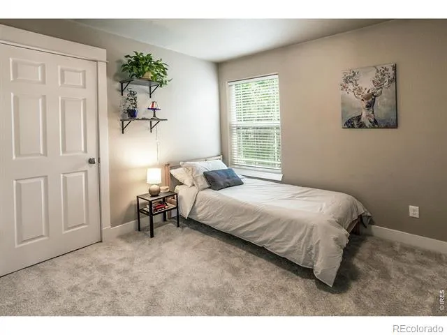 621 Rook Street Fort Collins, CO 80521