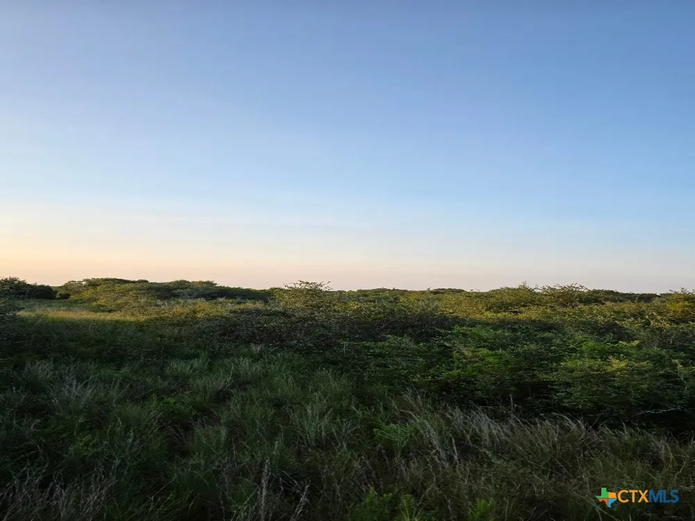 Carabajal Road #Tract 1547 Seadrift, TX 77983