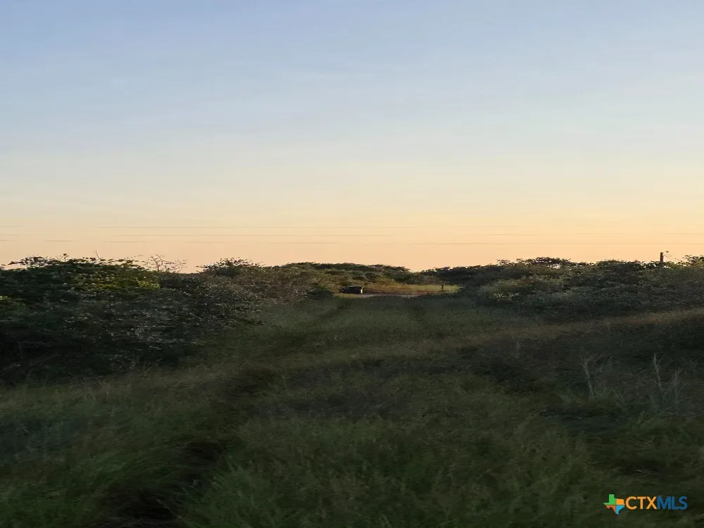 Carabajal Road #Tract 1547 Seadrift, TX 77983