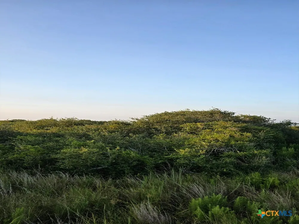 Carabajal Road #Tract 1547 Seadrift, TX 77983