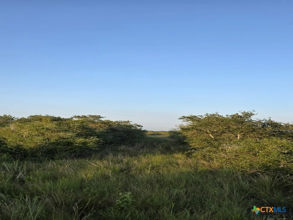 Carabajal Road #Tract 1547 Seadrift, TX 77983