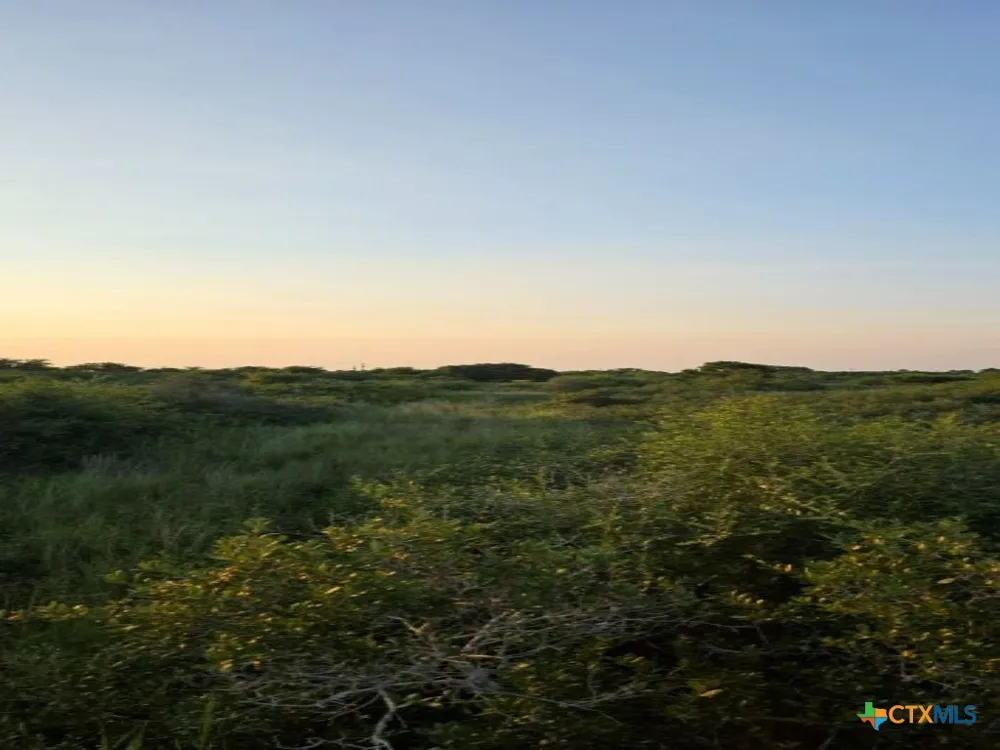 Carabajal Road #Tract 1547 Seadrift, TX 77983