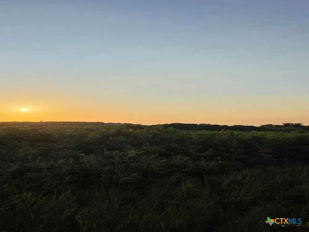 Carabajal Road #Tract 1547 Seadrift, TX 77983
