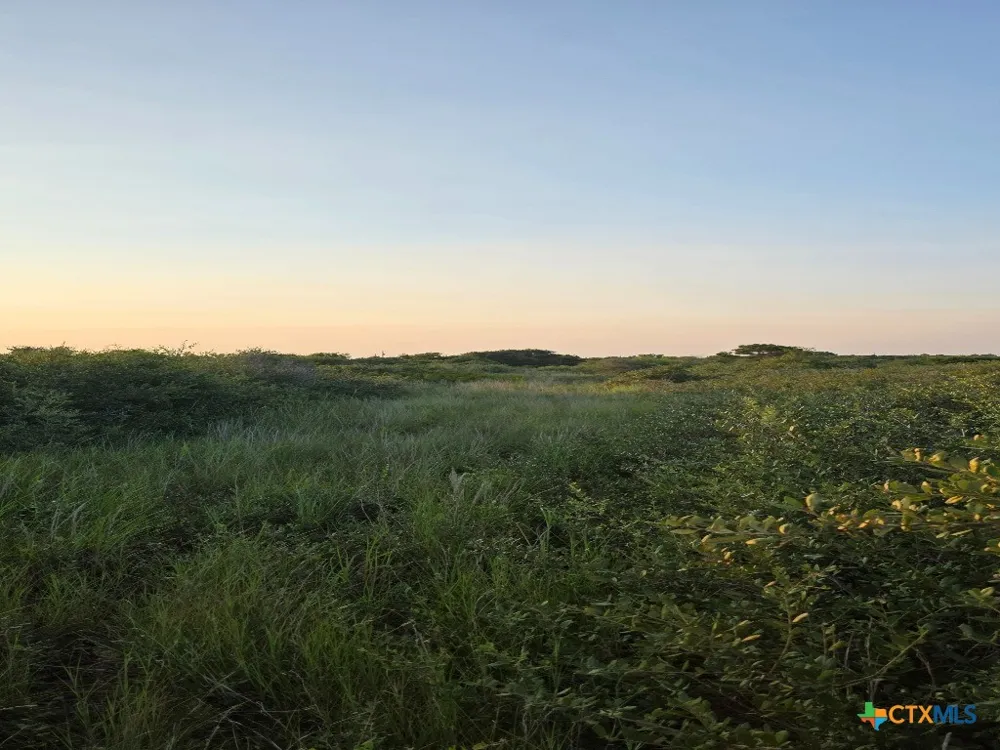 Carabajal Road #Tract 1547 Seadrift, TX 77983