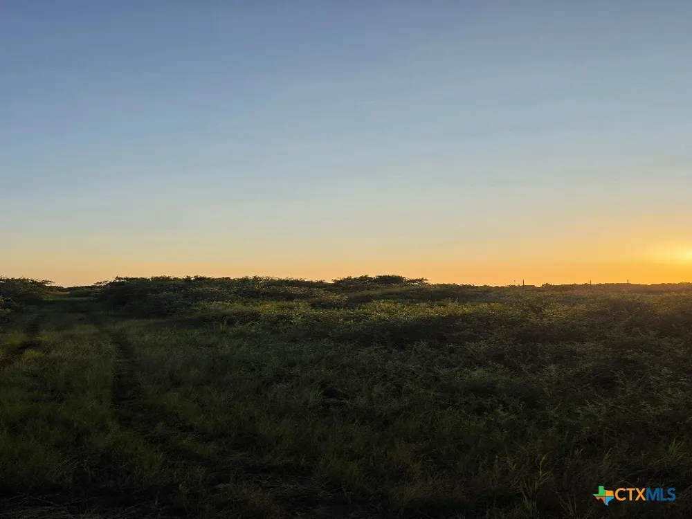 Carabajal Road #Tract 1547 Seadrift, TX 77983