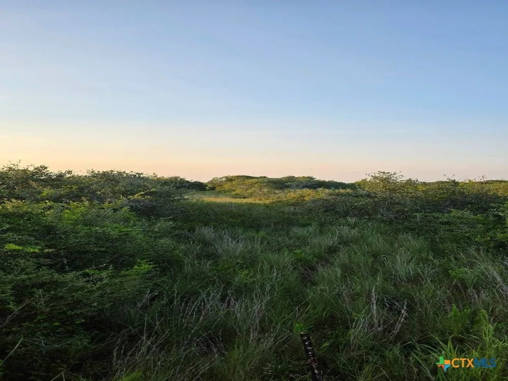 Carabajal Road #Tract 1547 Seadrift, TX 77983