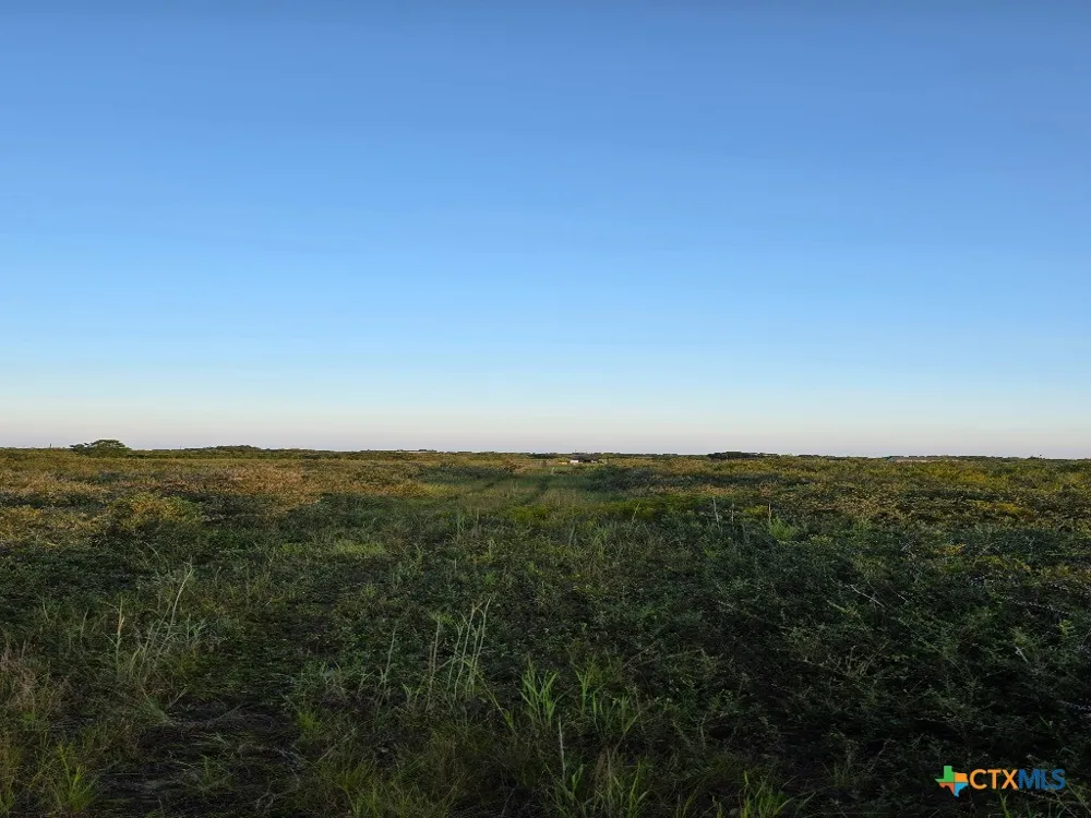 Carabajal Road #Tract 1547 Seadrift, TX 77983