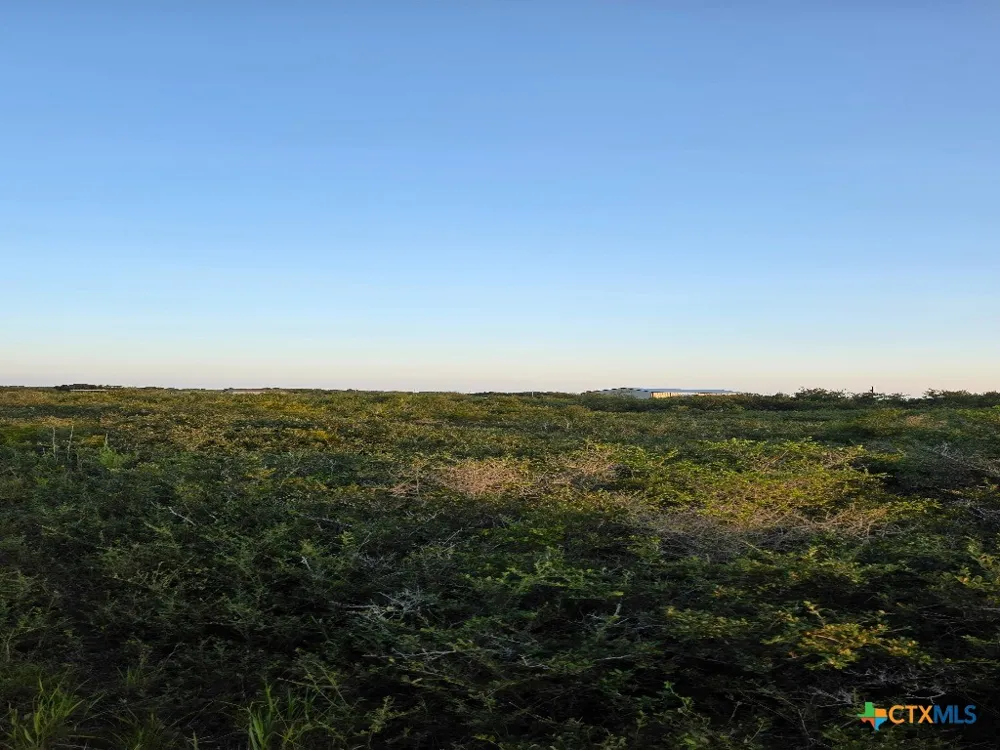Carabajal Road #Tract 1547 Seadrift, TX 77983