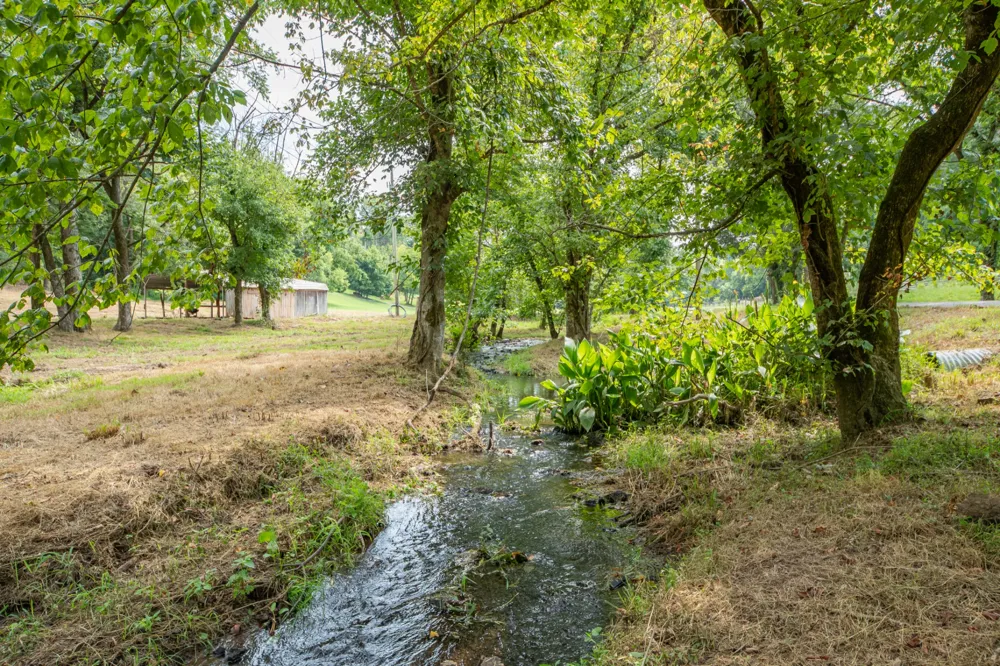 5049 Miller Lake Rd Culleoka, TN 38451