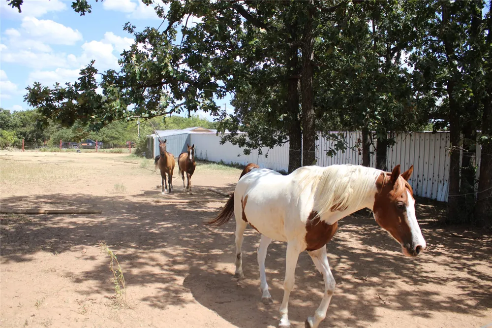 359191 E 970 ROAD Paden, OK 74860