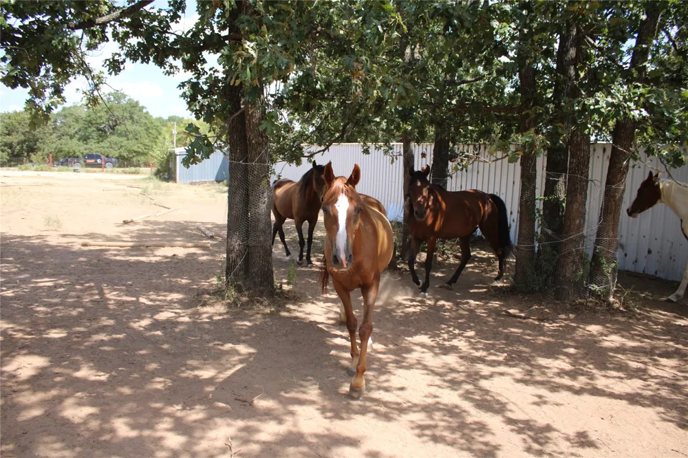 359191 E 970 ROAD Paden, OK 74860