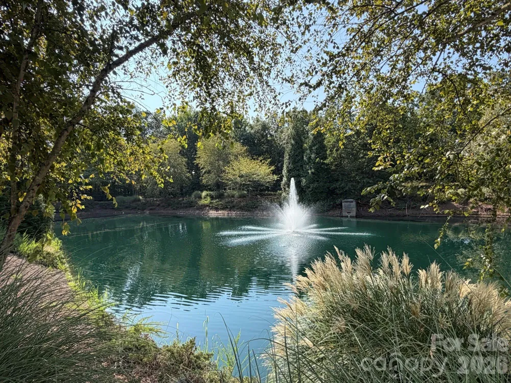 217 River Clay Road Fort Mill, SC 29708
