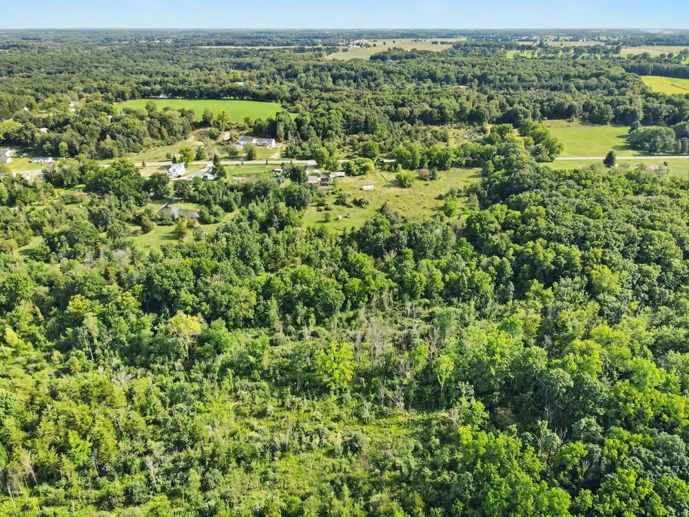 E Riverside Drive Lyons, MI 48851