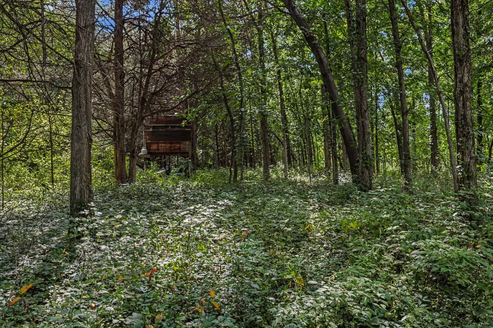 E Riverside Drive Lyons, MI 48851