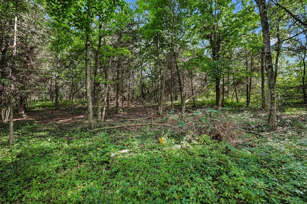 E Riverside Drive Lyons, MI 48851