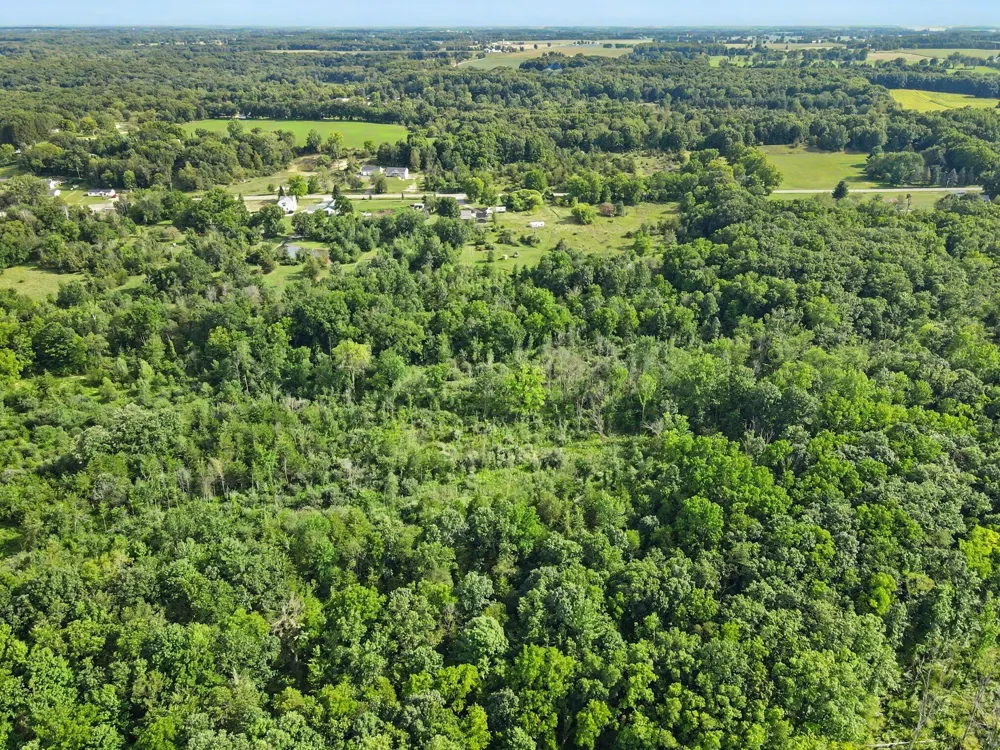 E Riverside Drive Lyons, MI 48851