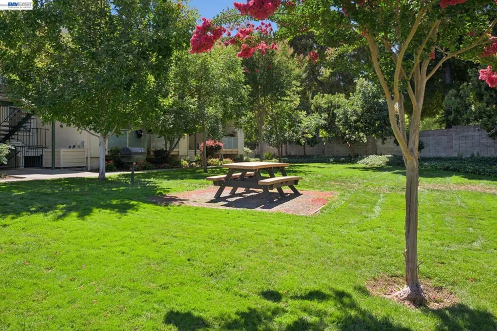 216 Borel Ln Danville, CA 94526