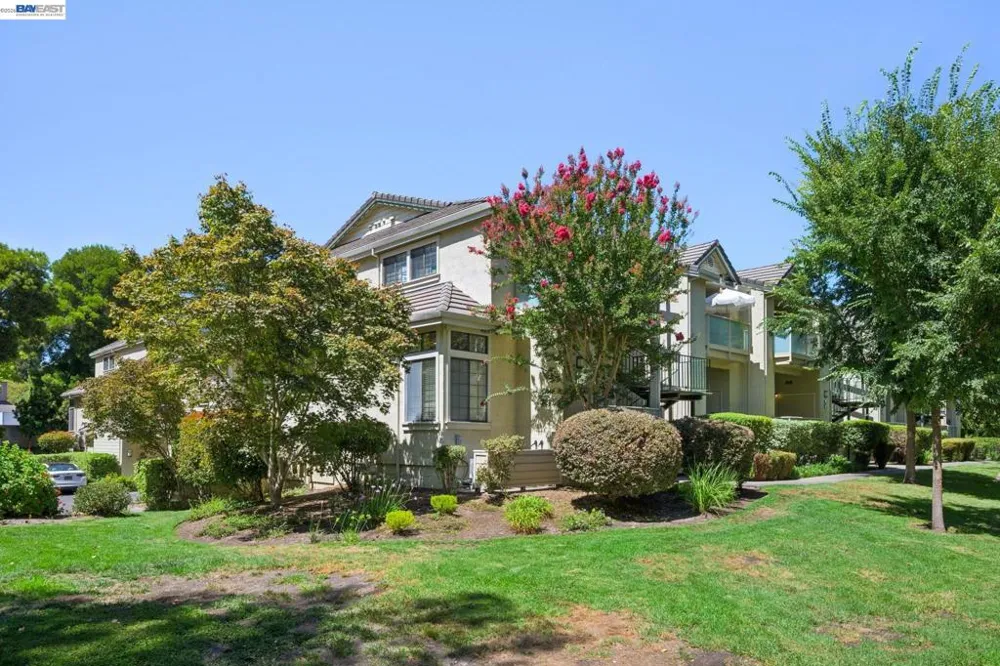 216 Borel Ln Danville, CA 94526