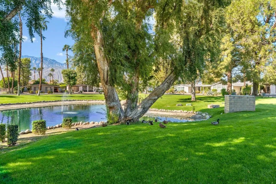 166 Larson Drive Cathedral City, CA 92234