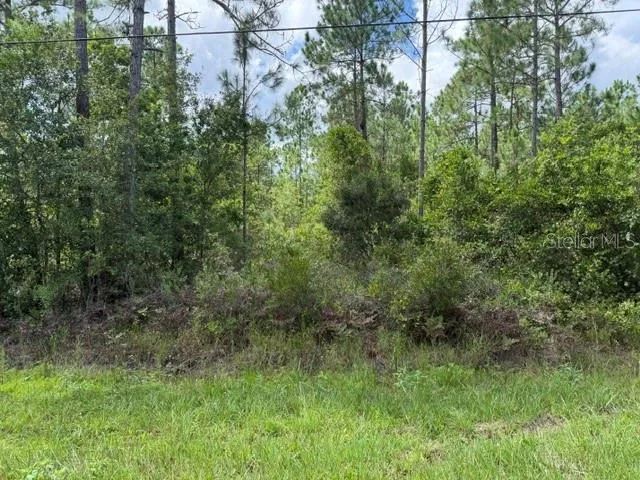 2724 LANCEWOOD STREET Bunnell, FL 32110