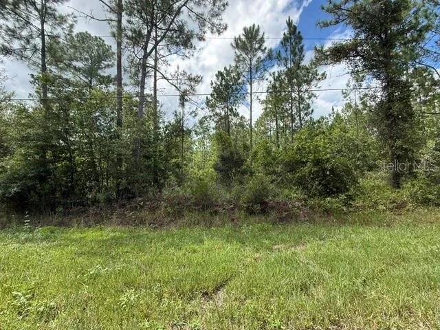 2724 LANCEWOOD STREET Bunnell, FL 32110