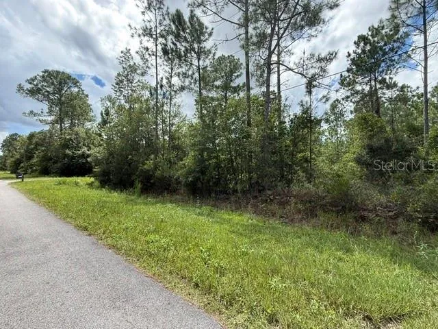 2724 LANCEWOOD STREET Bunnell, FL 32110