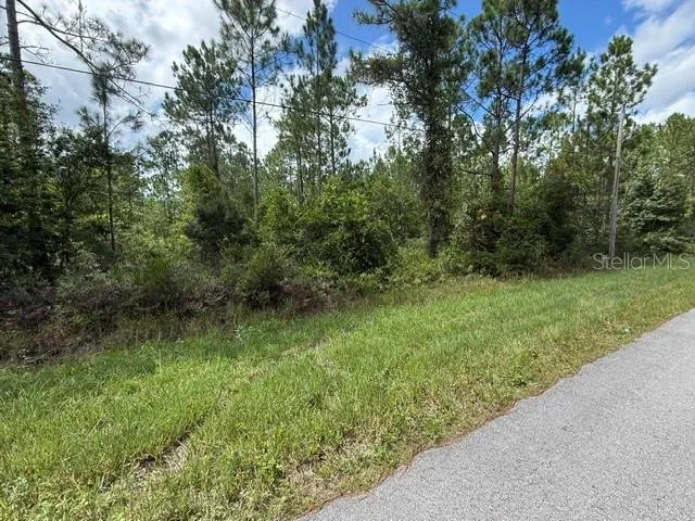 2724 LANCEWOOD STREET Bunnell, FL 32110