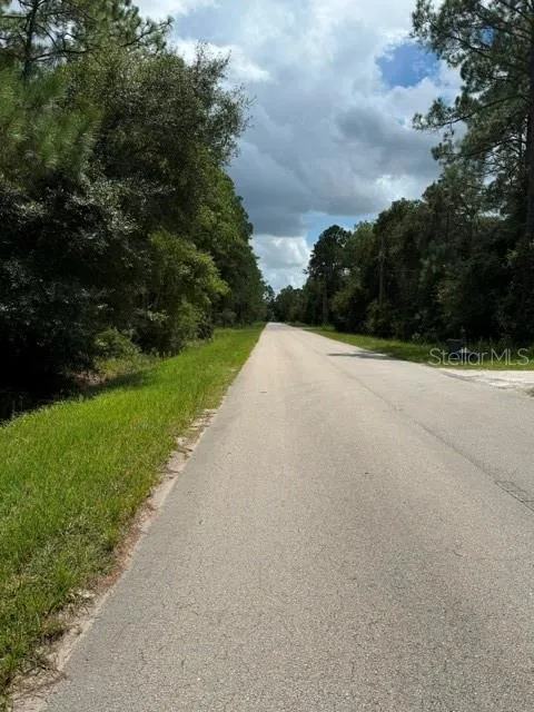 2724 LANCEWOOD STREET Bunnell, FL 32110