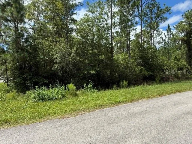 2724 LANCEWOOD STREET Bunnell, FL 32110