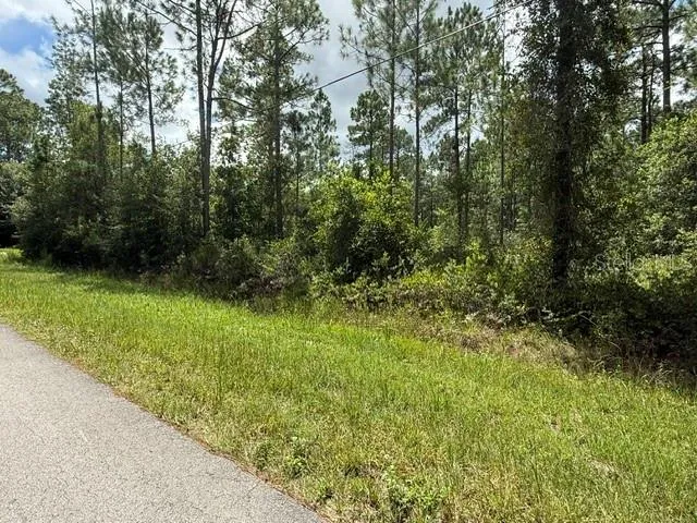 2724 LANCEWOOD STREET Bunnell, FL 32110