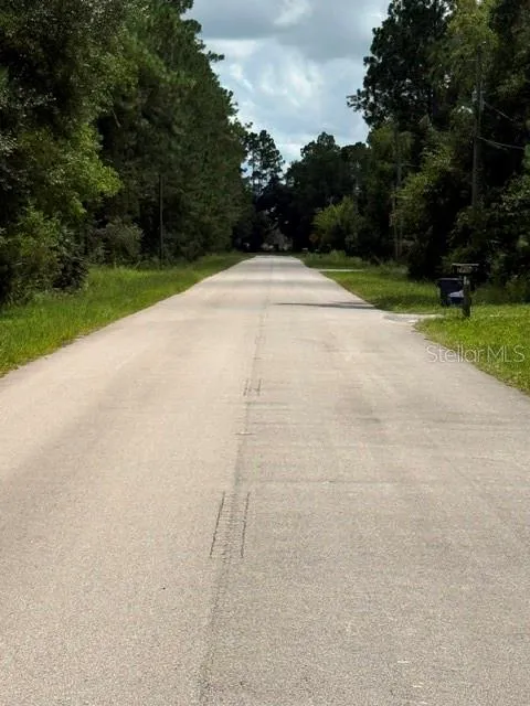 2724 LANCEWOOD STREET Bunnell, FL 32110